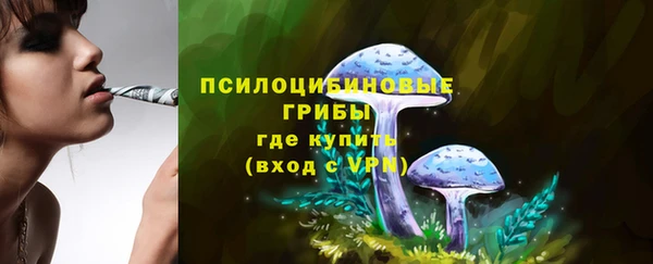 не бодяженный Зерноград