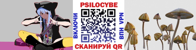 Псилоцибиновые грибы Cubensis  Купить закладки  Петровск 
